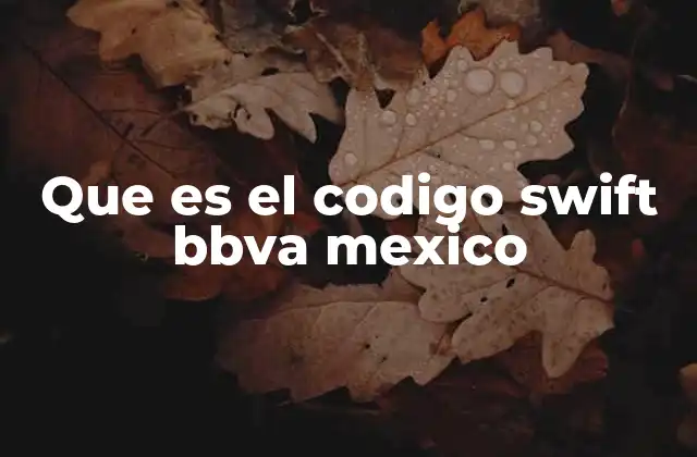Que es el Codigo Swift Bbva Mexico