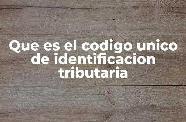 Que es el Codigo Unico de Identificacion Tributaria