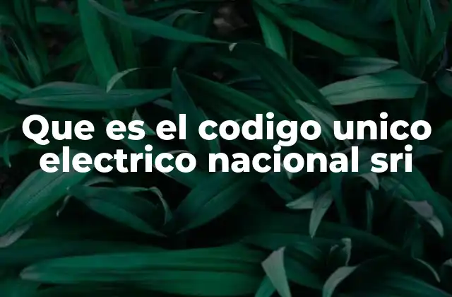 Que es el Codigo Unico Electrico Nacional Sri