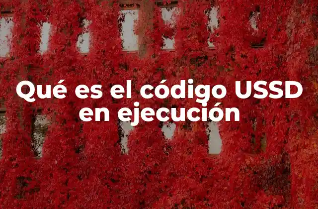 Qué es el Código Ussd en Ejecución