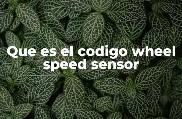 Que es el Codigo Wheel Speed Sensor