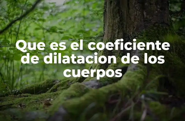 Que es el Coeficiente de Dilatacion de los Cuerpos