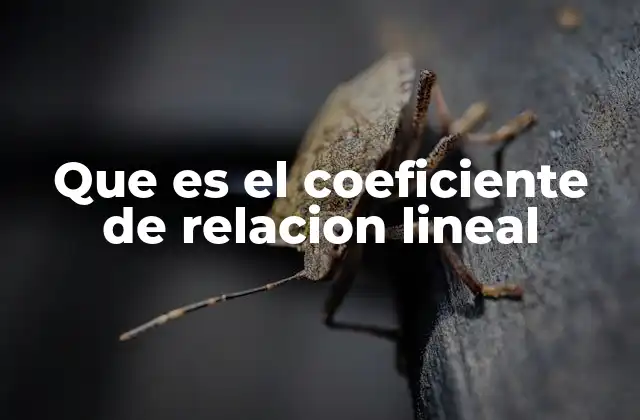 Que es el Coeficiente de Relacion Lineal
