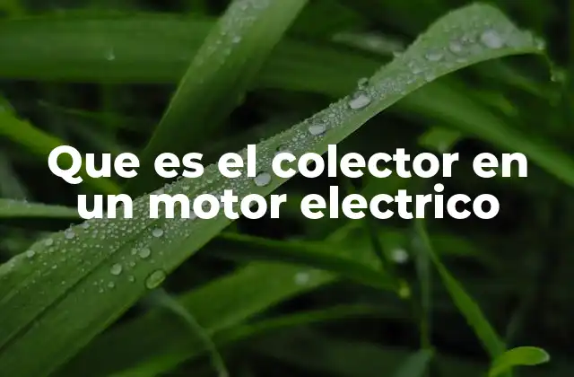 El papel del colector en el funcionamiento de los motores eléctricos