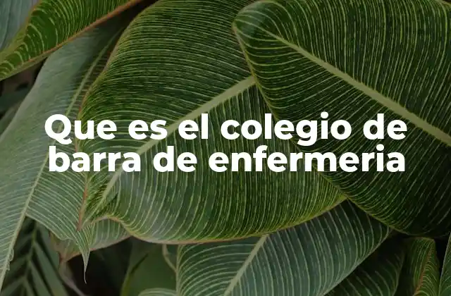 El rol del Colegio de Enfermería en la sociedad