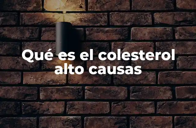 Qué es el Colesterol Alto Causas