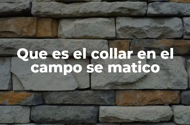 Que es el Collar en el Campo Se Matico
