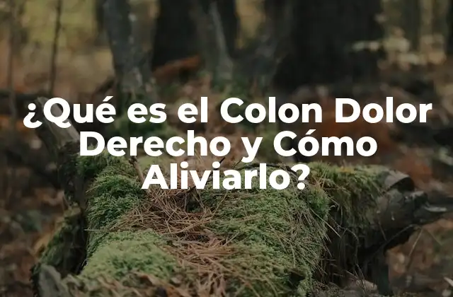 Anatomía del Colon y su Relación con el Dolor