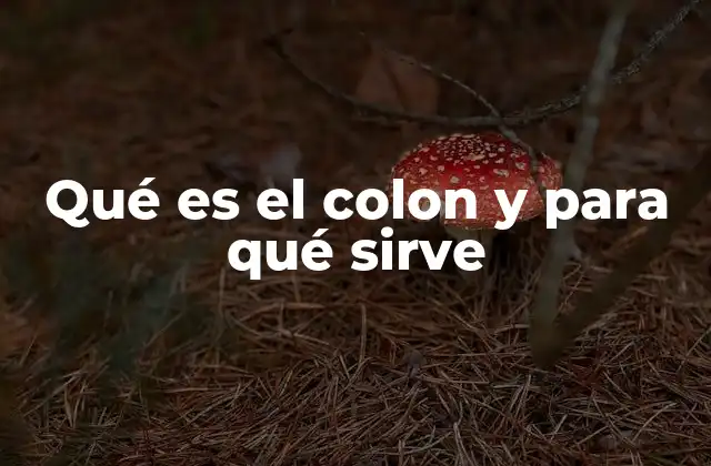 El papel del colon en la construcción de frases complejas