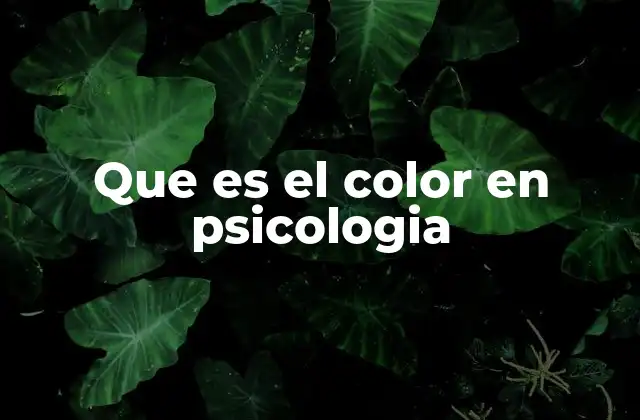 El rol del color en la percepción humana
