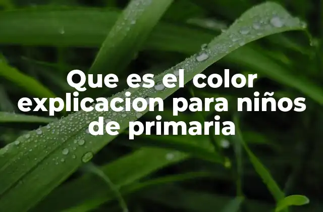 Que es el Color Explicacion para Niños de Primaria 2 Cómo los niños pueden aprender sobre los colores