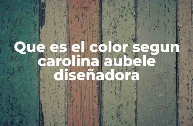 Que es el Color Segun Carolina Aubele Diseñadora