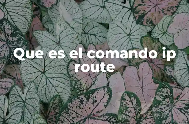 Que es el Comando Ip Route