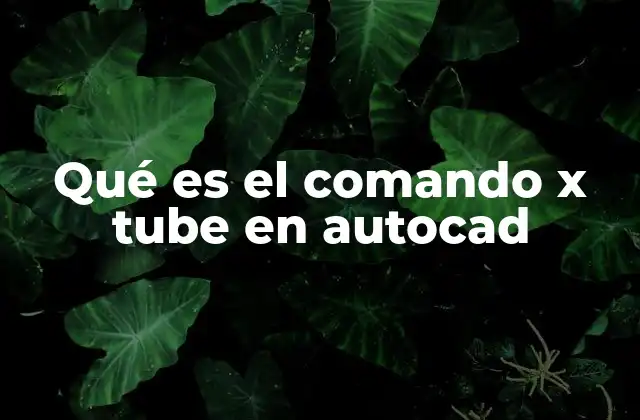 Qué es el Comando X Tube en Autocad