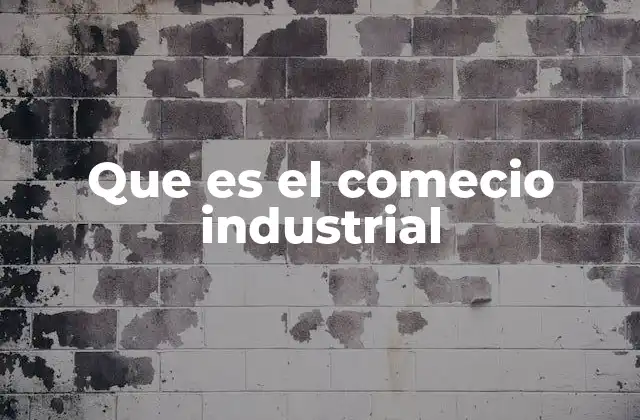 Que es el Comecio Industrial