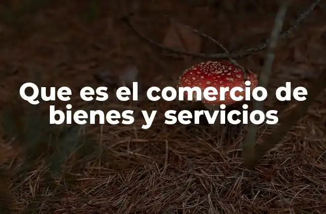 Que es el Comercio de Bienes y Servicios