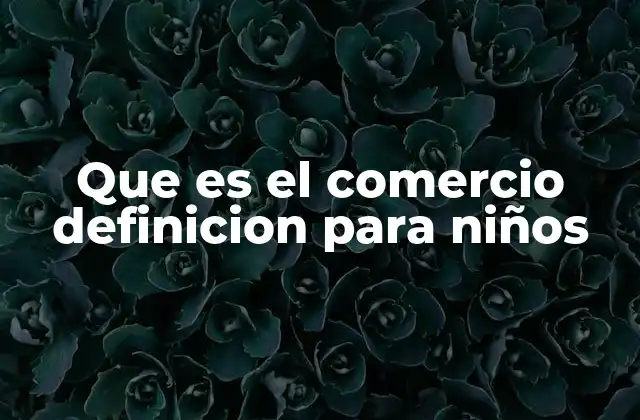 Que es el Comercio Definicion para Niños