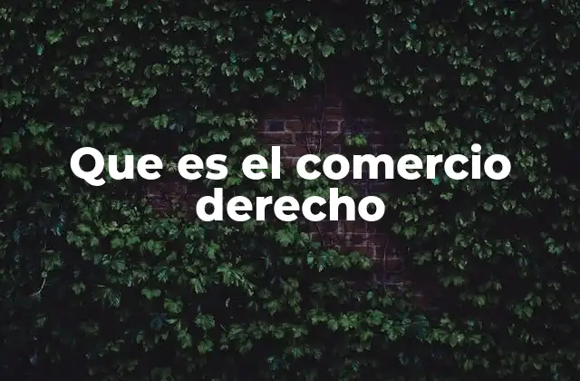 Que es el Comercio Derecho