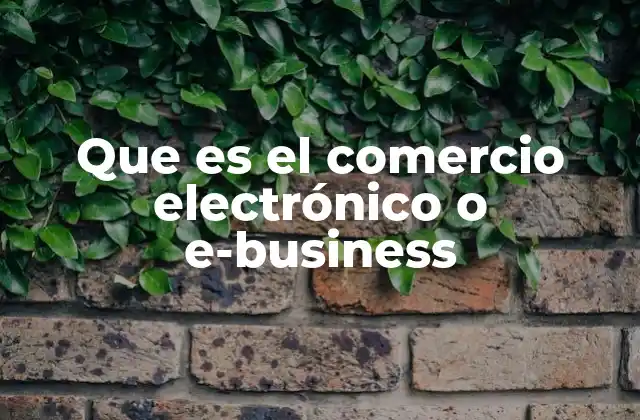 Que es el Comercio Electrónico o E-business