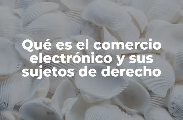 Qué es el Comercio Electrónico y Sus Sujetos de Derecho