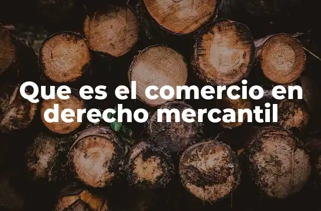 Que es el Comercio en Derecho Mercantil