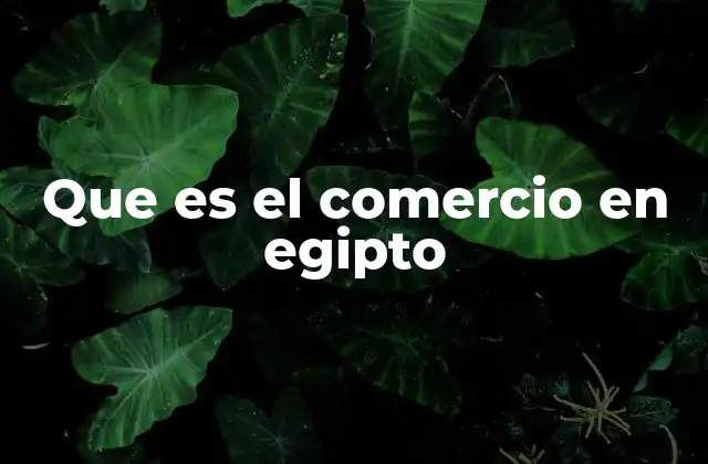 El comercio en Egipto como motor económico