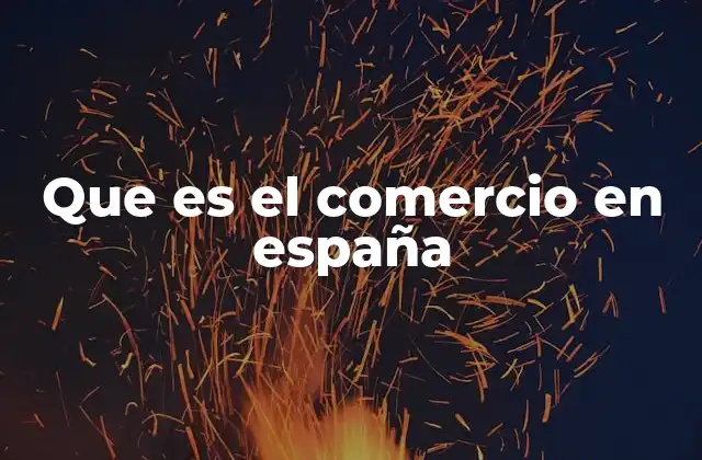 Que es el Comercio en España
