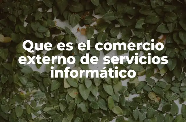 Que es el Comercio Externo de Servicios Informático
