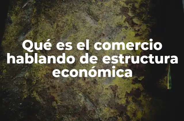 Qué es el Comercio Hablando de Estructura Económica