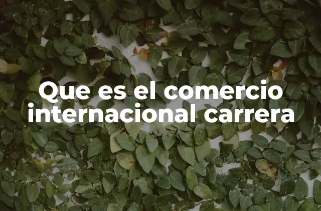 Que es el Comercio Internacional Carrera
