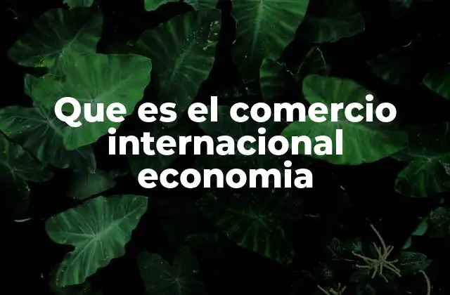 Que es el Comercio Internacional Economia 2 El papel del comercio internacional en la economía global