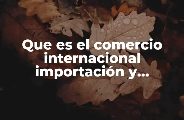 Que es el Comercio Internacional Importación y Exportacion