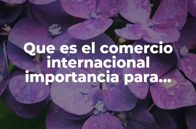 Que es el Comercio Internacional Importancia para Mexico