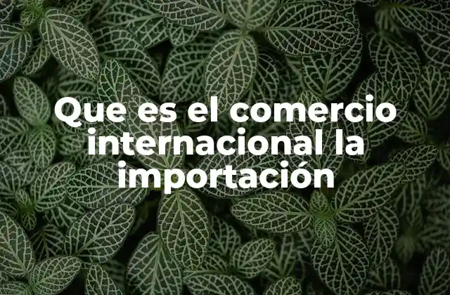 Que es el Comercio Internacional la Importación