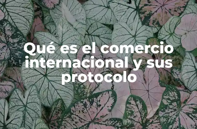 Qué es el Comercio Internacional y Sus Protocolo