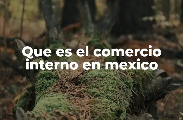Que es el Comercio Interno en Mexico