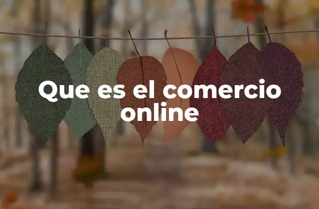 Que es el Comercio Online