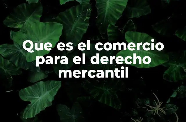 Que es el Comercio para el Derecho Mercantil
