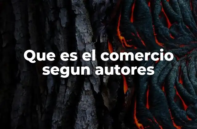 Que es el Comercio Segun Autores