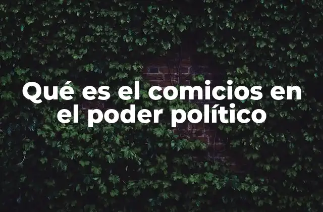 Qué es el Comicios en el Poder Político