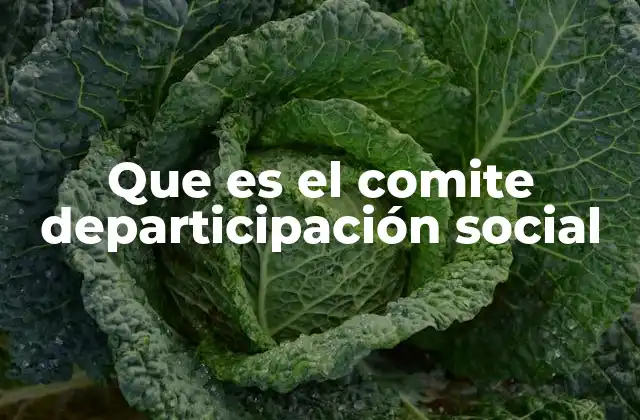 Que es el Comite Departicipación Social