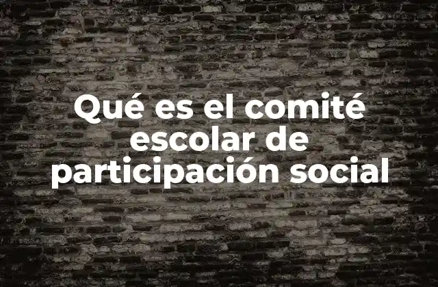Qué es el Comité Escolar de Participación Social