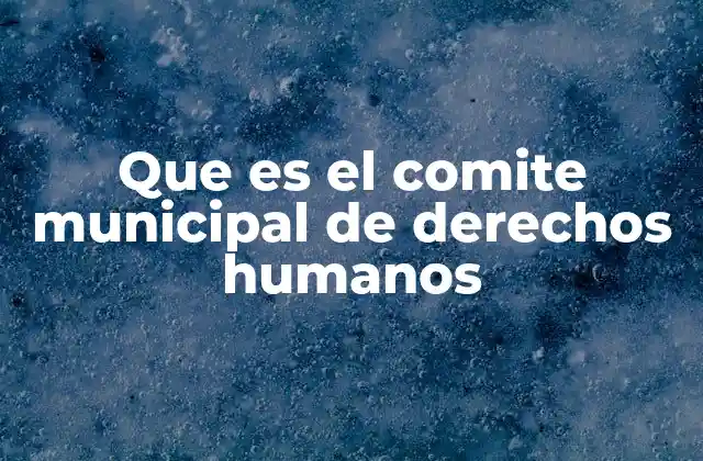 Que es el Comite Municipal de Derechos Humanos