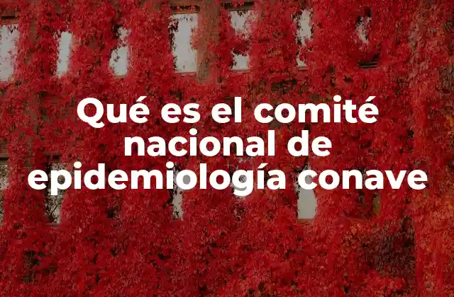 Qué es el Comité Nacional de Epidemiología Conave