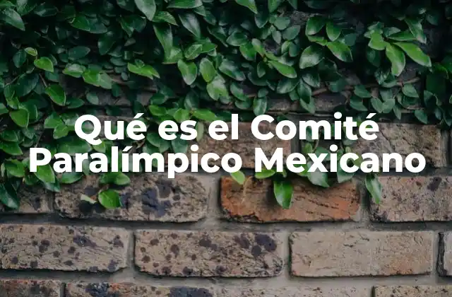 Qué es el Comité Paralímpico Mexicano
