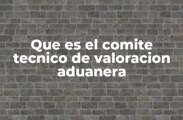 Que es el Comite Tecnico de Valoracion Aduanera