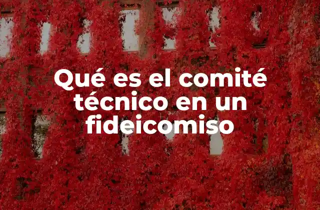 Qué es el Comité Técnico en un Fideicomiso