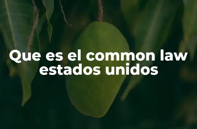 Que es el Common Law Estados Unidos
