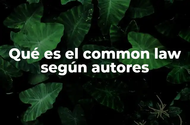 Qué es el Common Law según Autores