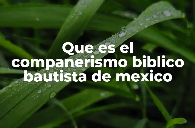 Que es el Companerismo Biblico Bautista de Mexico